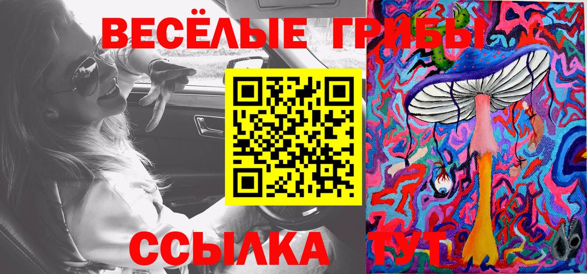 наркота  Псилоцибиновые грибы Magic Shrooms  Вход с VPN  Кандалакша 